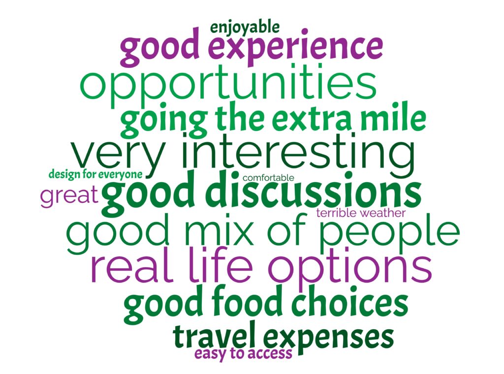 A word cloud with words of varying size in greens and purple. Words are: good discussions, great, opportunities, real life options, very interesting, good mix of people, good experience, good food choices, going the extra mile, comfortable, easy to access, enjoyable, travel expenses, design for everyone and terrible weather.