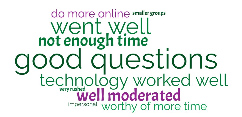 Word cloud featuring various sizes of words in greens and purple. Words are: good questions, worthy of more time, smaller groups, went well, very rushed, not enough time, technology worked well, well moderated, impersonal and do more online.