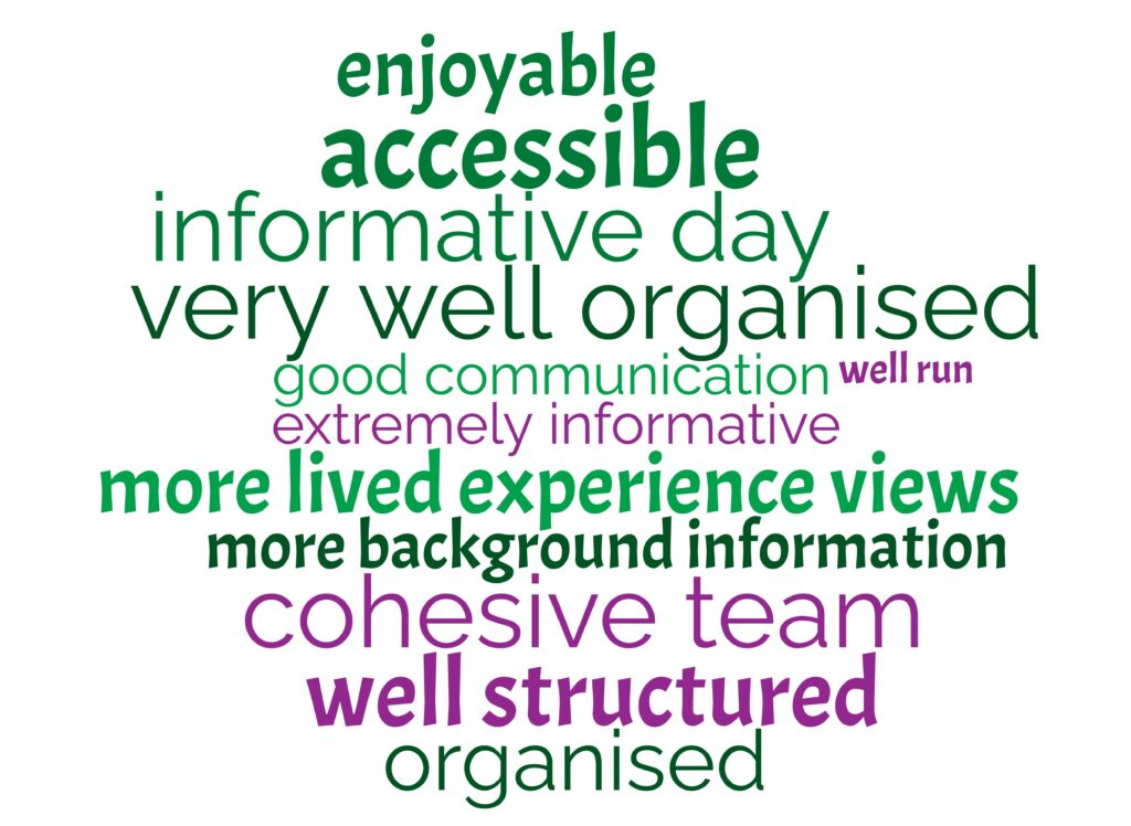 A word cloud with words of varying size in greens and purple. Words are: accessible, extremely informative, good communication, cohesive team, very well organised, informative day, well structured, enjoyable, more lived experience views, organised, well run and more background information.
