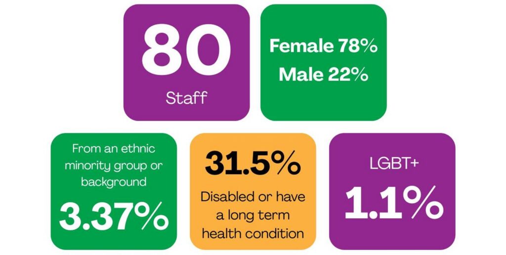 5 coloured boxes. Top line reads: 80 staff. Female 78%. Male 22%. Second line boxes read: From an ethnic minority group or background 3.37%. 31.5% disabled or have a long term health condition. LGBT+ 1.1%.